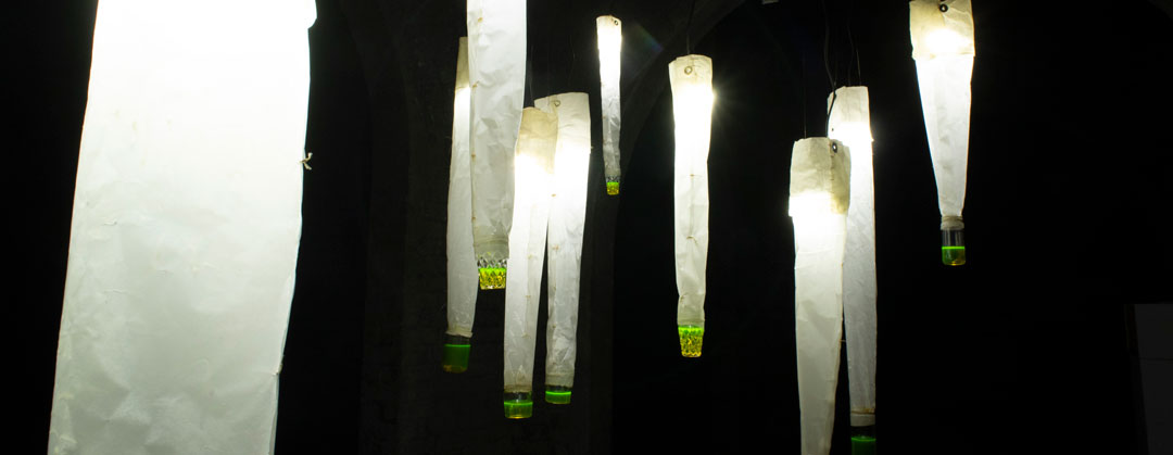 AELA Earth Arts – Nurturing the role of creativity in transforming law and governance