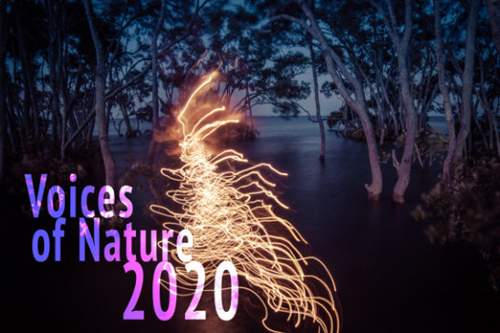 Voices of Nature 2020