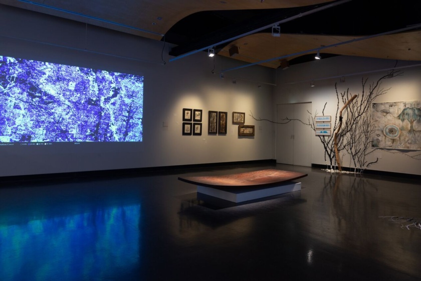 Aviva Reed, Installation, earth arts, voices of nature
